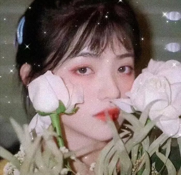 暴力谎言