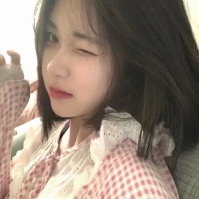 父仇者