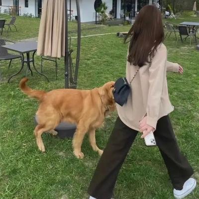 暗黑之岛